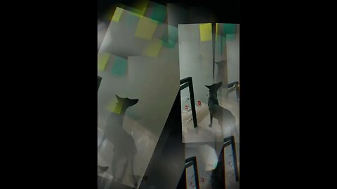 ∑π©R∑π©Å: TREINO DE FARO DENTRO DE CASA ..... MAIS UMA NOTA 10 !!!!