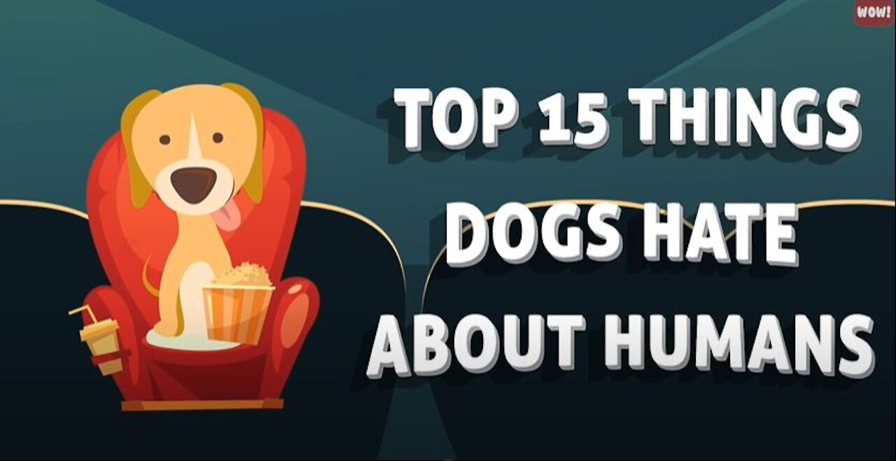 For Dog Lovers🐶15 Things Dogs Hate about Humans