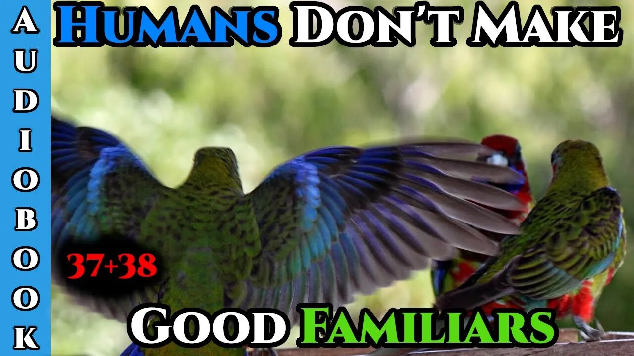 Humans Are CHAOS - Humans Don't make Good Familiars (Ongoing) - Ch.37+38 | HFY | Fantasy |