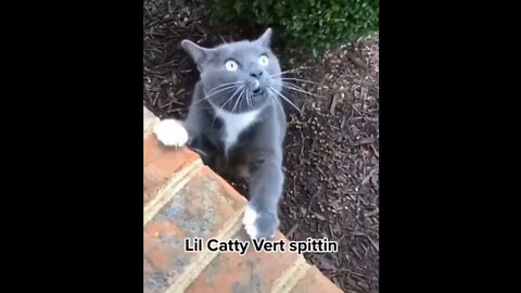 I dear you not to laugh!!!!