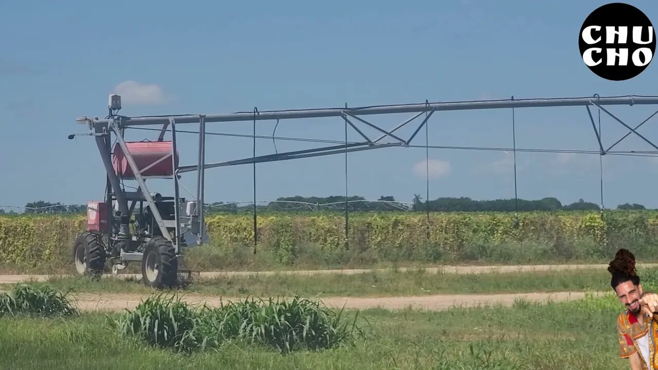 La creatividad puede llegar a niveles...