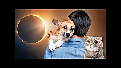 10 Strange Effects of Solar Eclipse