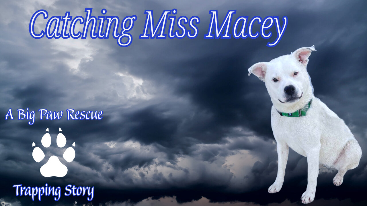 Catching Miss Macey, A Found Footage Special