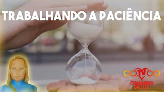 Como devemos trabalhar a Paciência?