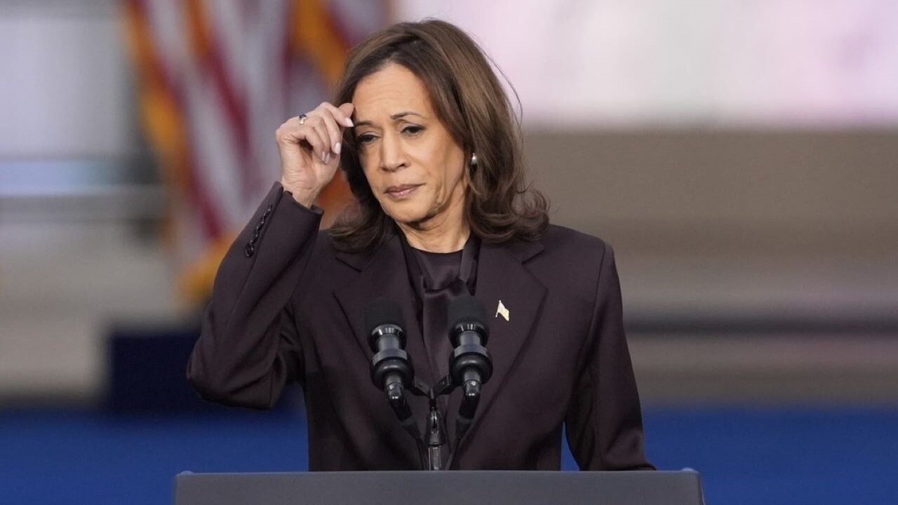 What Democrat Mega-Donor Said About Kamala Harris' Political Future Is DEVASTATING … For Her