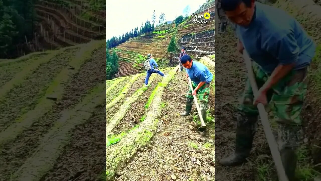 #nature most beautiful rice terraces you can't imagine