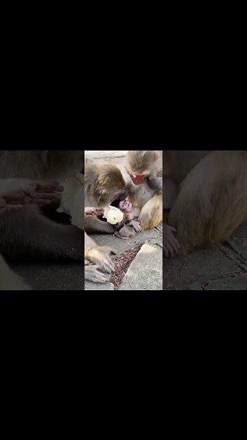 Most Amazing and trending video||relaxing your mind||trendig videos|| #shorts #trending #viral #live