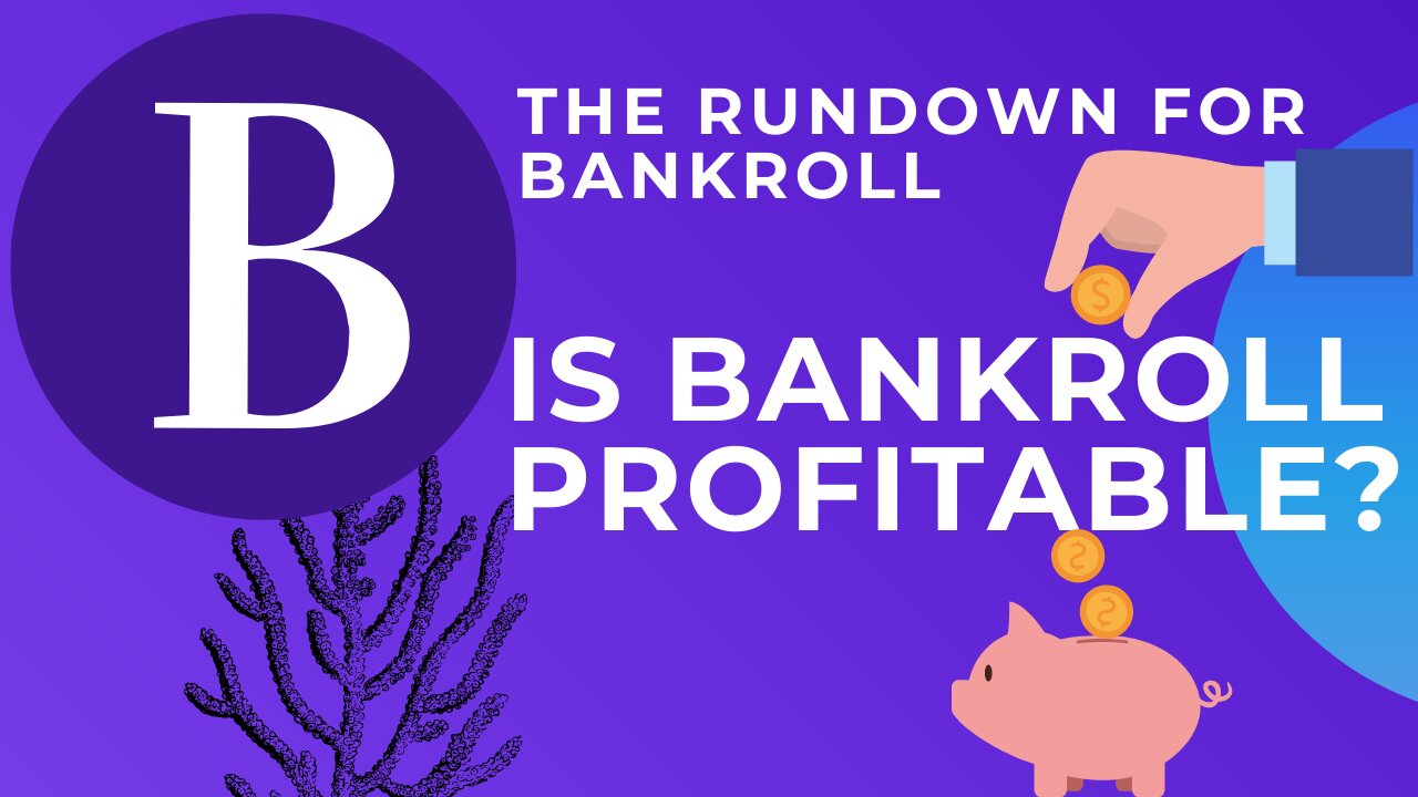 Bankroll! Passive income for 2021 or not? You decide!