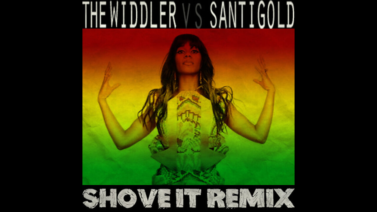 The Widdler VS Santigold - Shove it (Dubstep Remix)