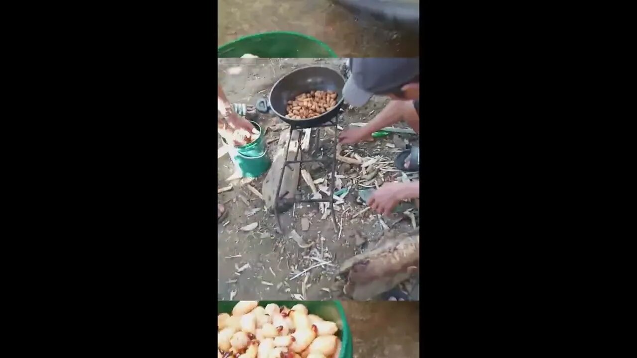 Worms for dinner?