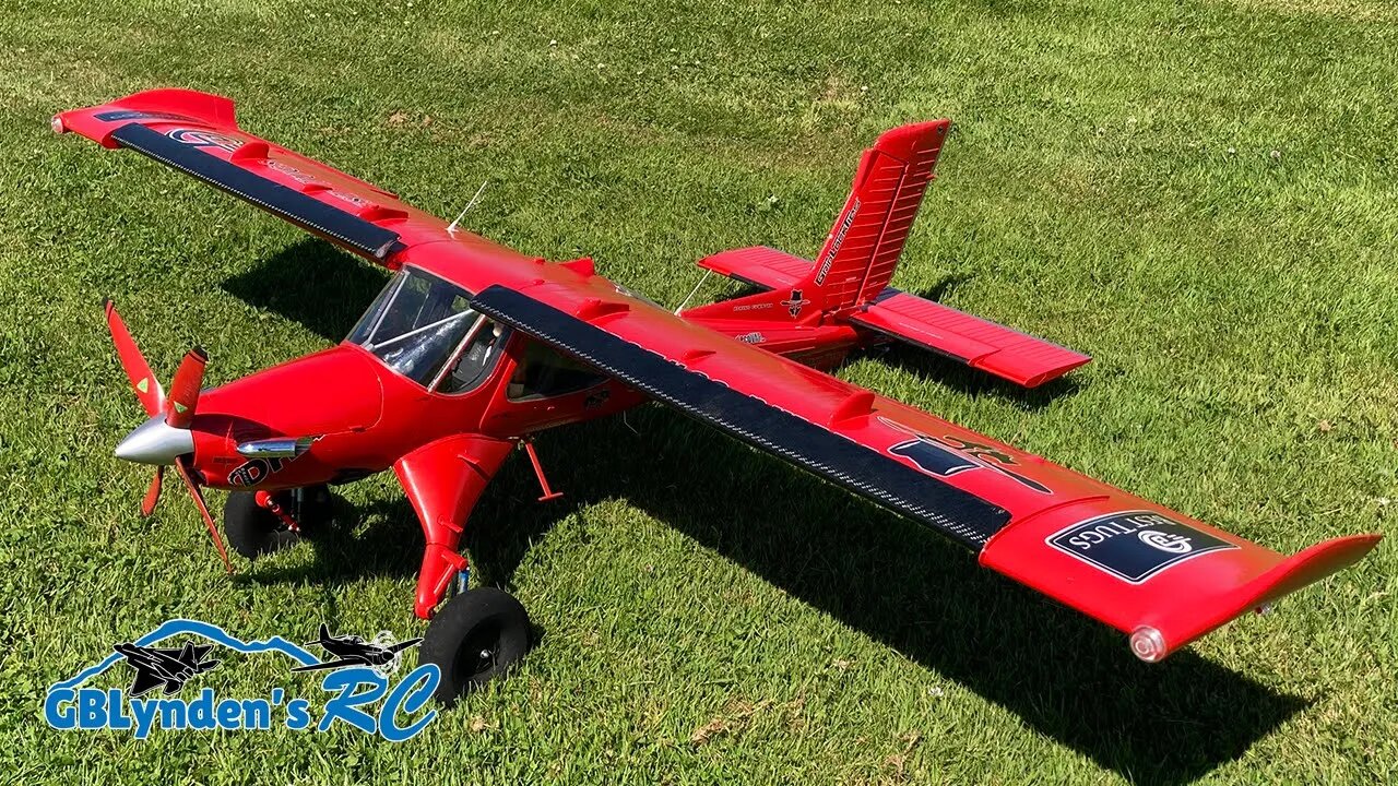 Todd's Custom Draco | E-flite Draco 2.0m Smart BNF RC Plane