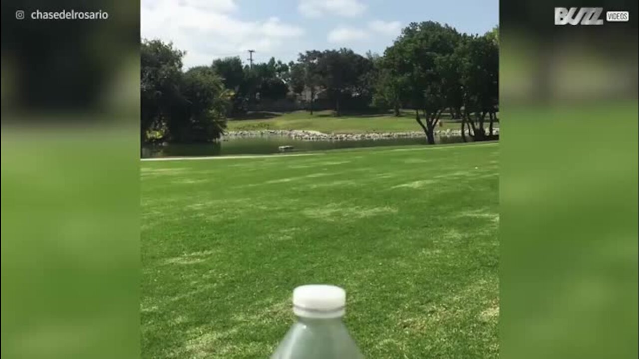 Un salto arrière pour réussir le "bottle cap challenge"