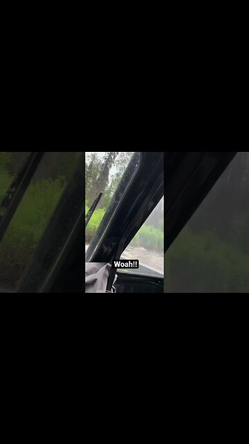 The giggle gets me everytime! #shorts