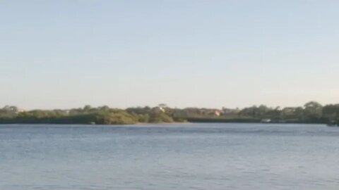 the Wizard needs my help