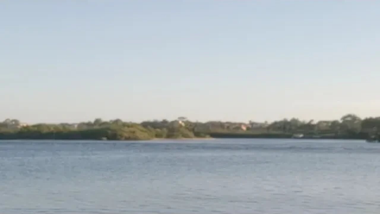 the Wizard needs my help