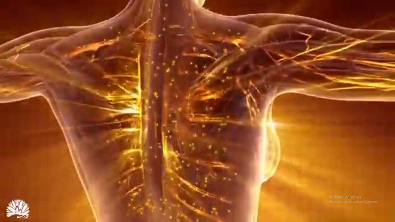 528 Hz | Alpha Waves Massage The Whole Body, Regeneration Aging Cells