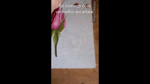 #Shorts Como pintar pétala vermelha da rosa vermelha