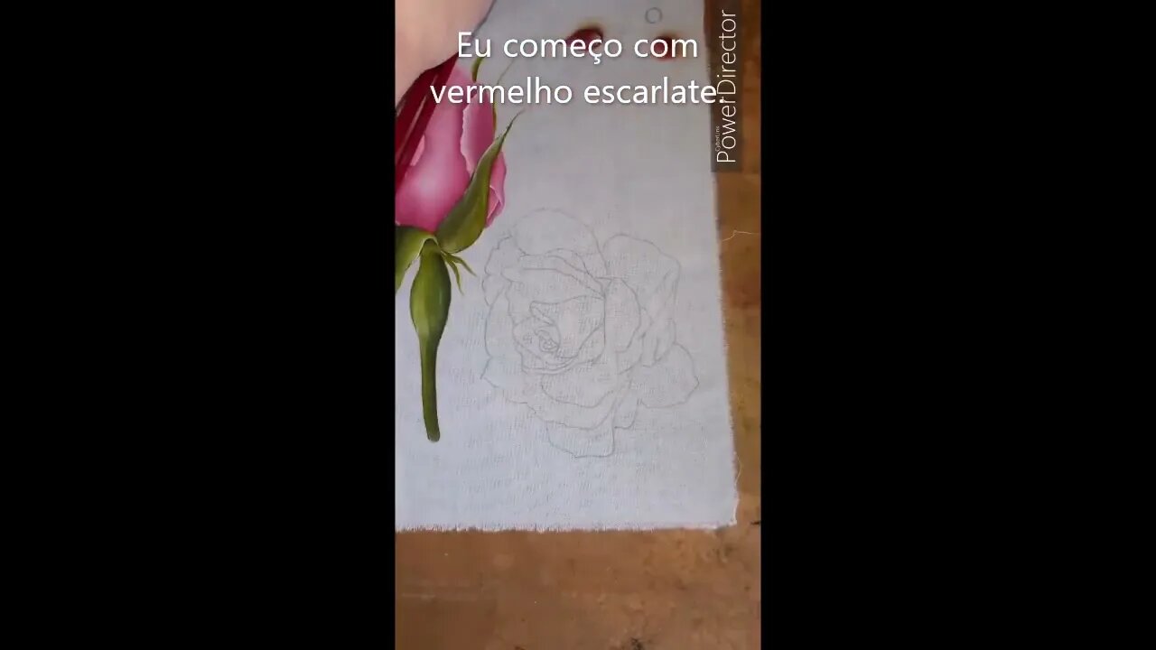 #Shorts Como pintar pétala vermelha da rosa vermelha