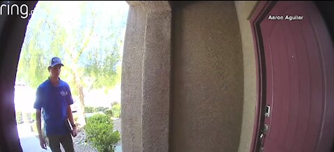 Ring doorbell video showing cat being kicked draws outrage