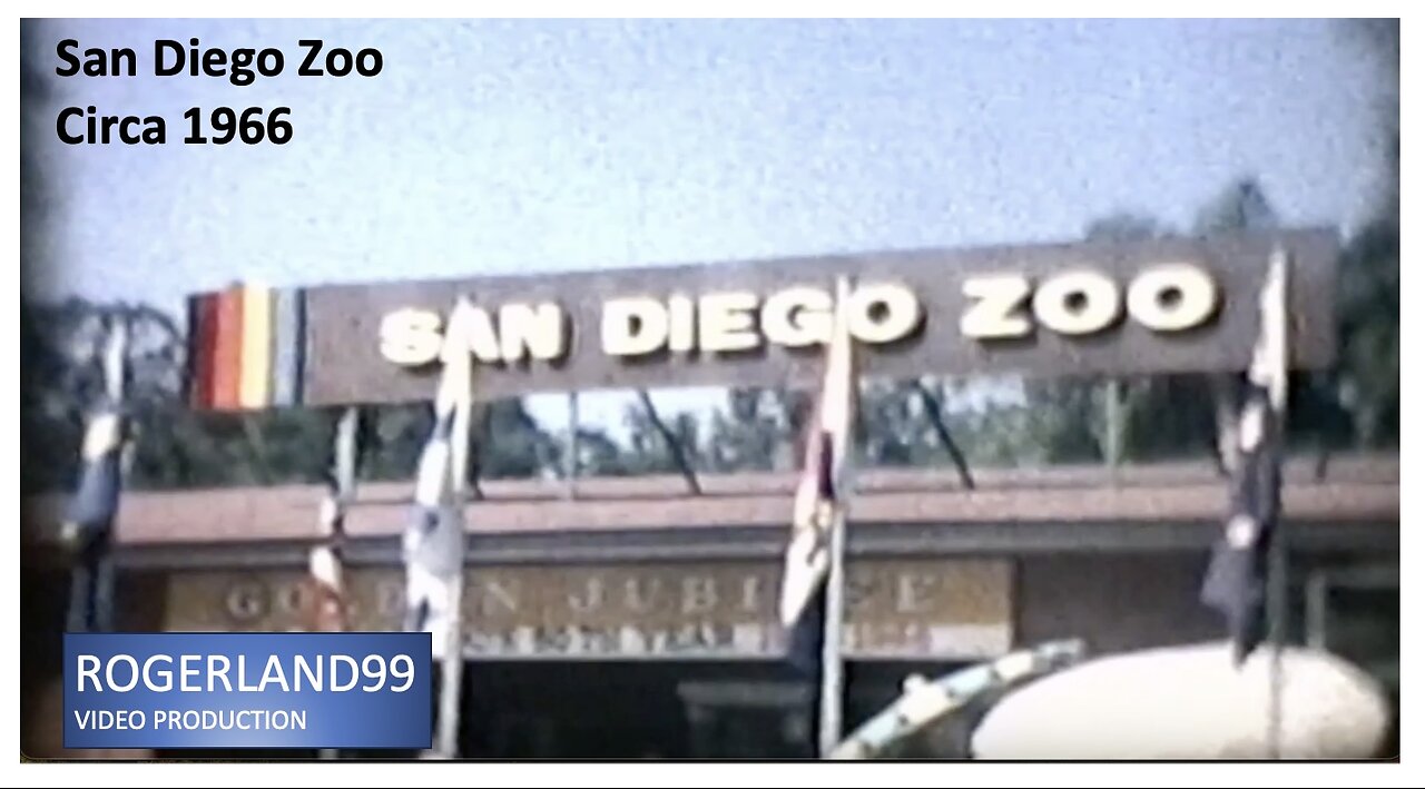 San Diego Zoo Circa 1966