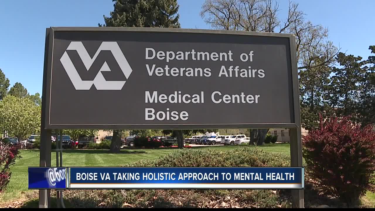 Boise VA taking holistic approach to mental health