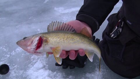 MidWest Outdoors TV Show #1656 - Mille Lacs Ice Walleye
