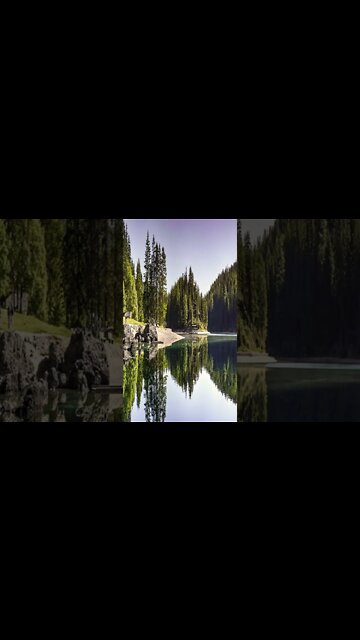 music - Classique Francis Preve #shorts #shortsvideo #short #shortvideo