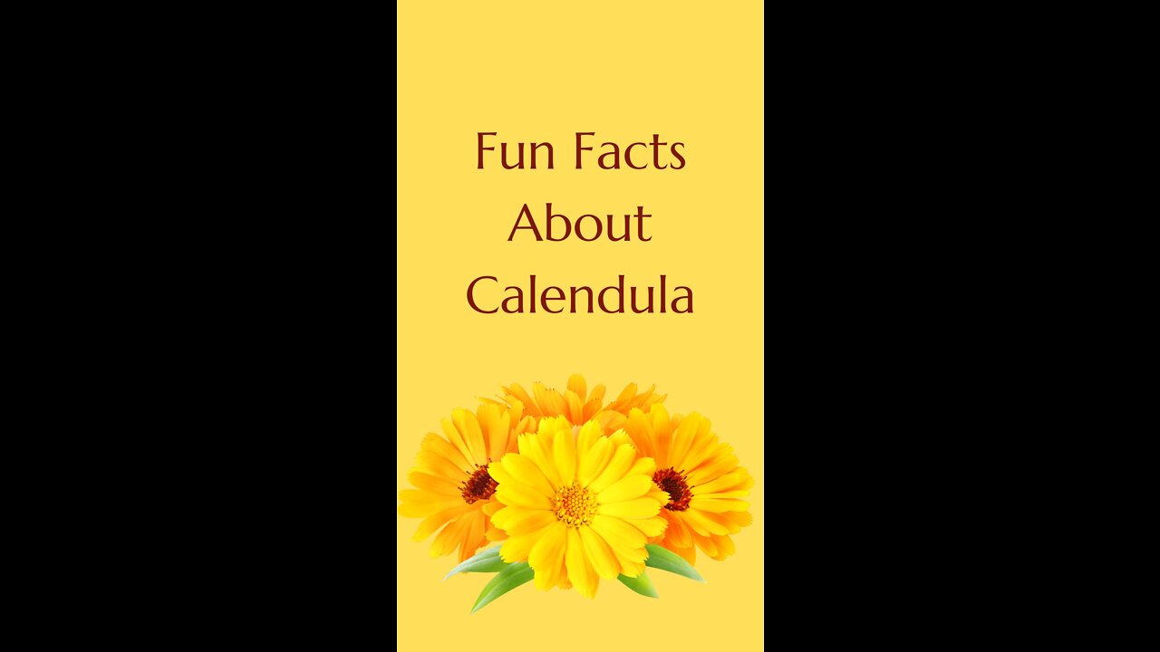 Fun Facts About Calendula