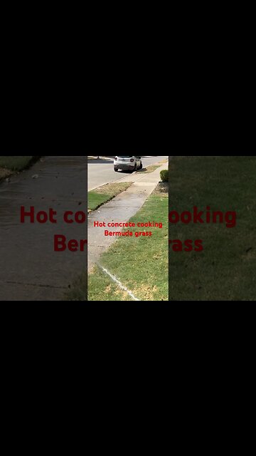 #viral #lawn #mowing #grass #bermuda #lawncare #home #tahoma #dog