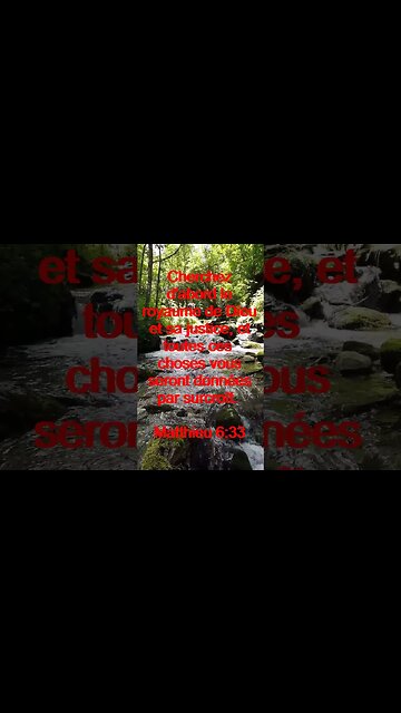 Verset Du Jour | Lecture Inspirante Pour Commencer La Journée. | 58