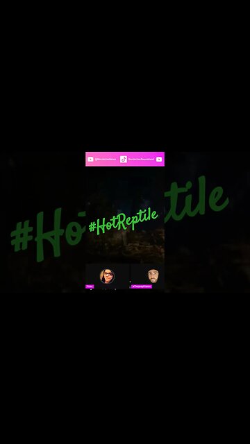 Reptile in Mortal Kombat 1