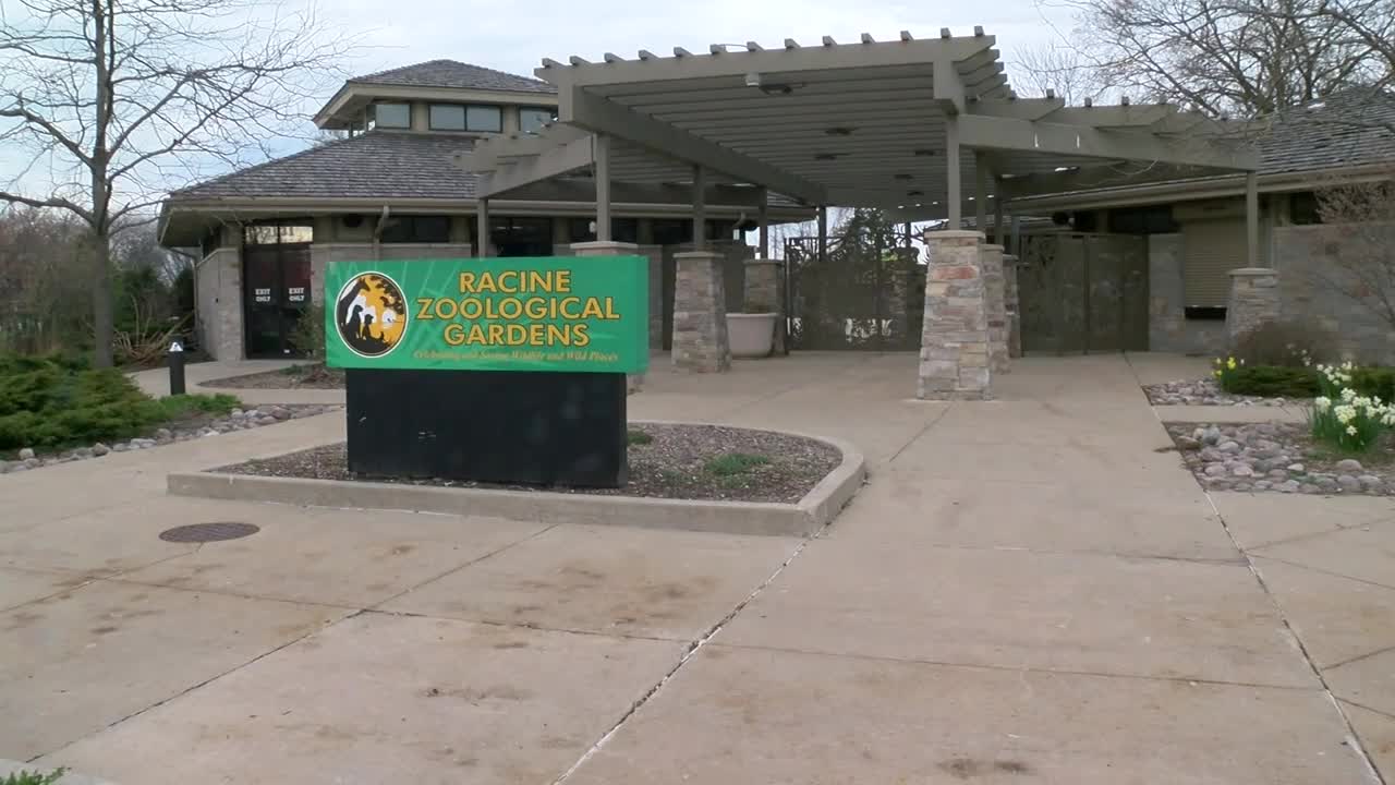 Racine Zoo facing dire financial straits, hopes "Giving Tuesday Now" brings help