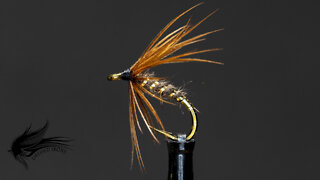 Tying The Sanctuary Soft Hackle - Dressed Irons