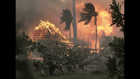 JUST IN: Death toll from Maui, Hawaii fires has reached 36