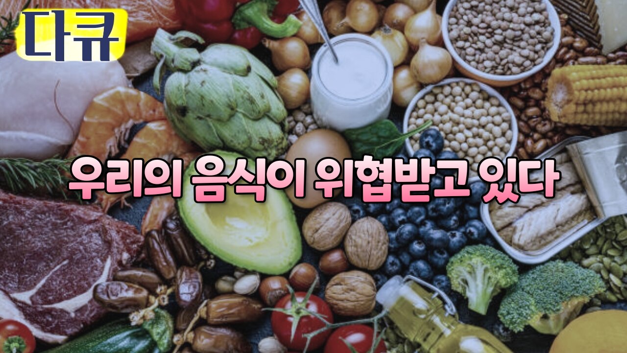 [35분 다큐] 우리의 음식을 지켜라