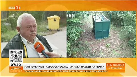 Набези на мечки в Габровско институциите търсят начини да се справят с проблема