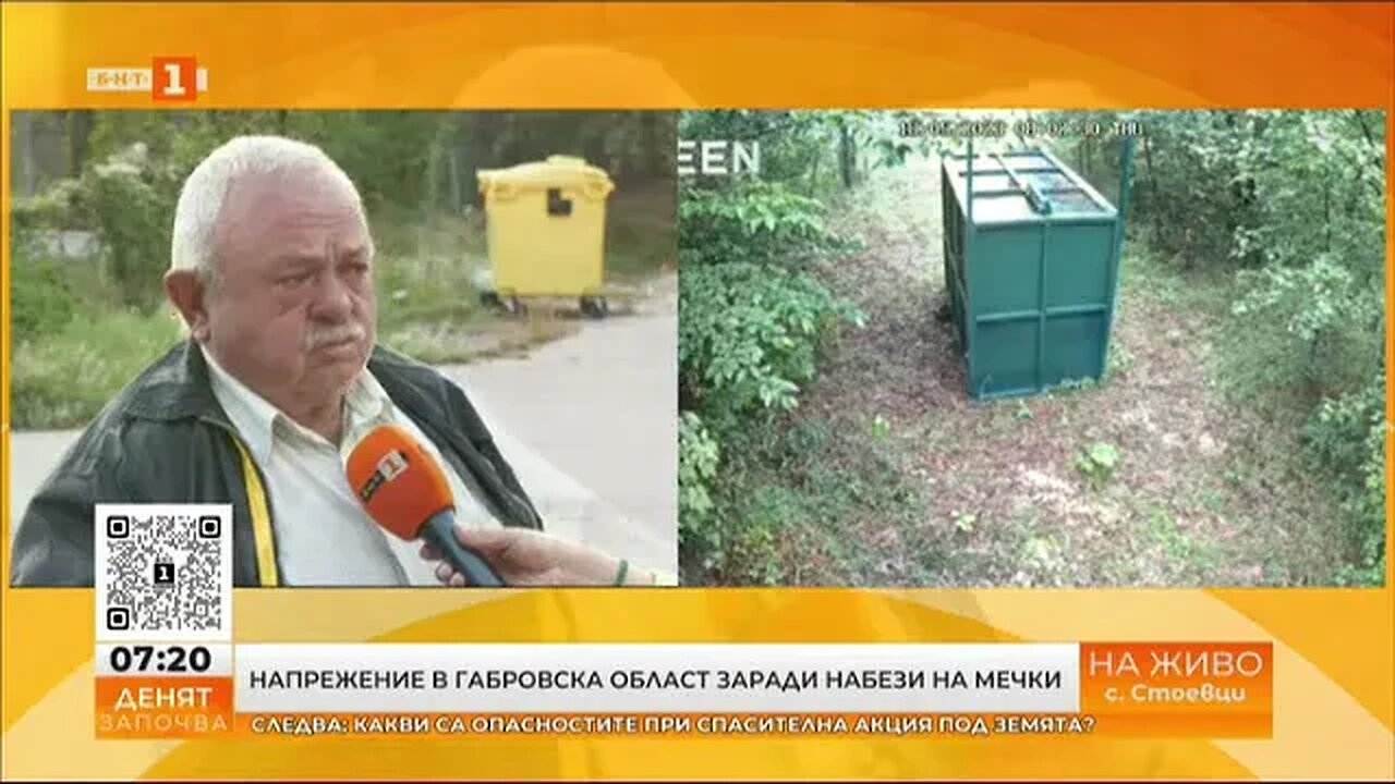 Набези на мечки в Габровско институциите търсят начини да се справят с проблема