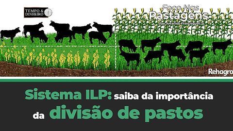 Sistema ILP: saiba da importância da divisão de pastos , tema de hoje de Foco nas Pastagens