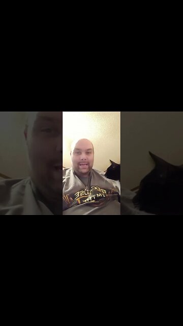 Channel introduction FT Moon pie #shorts #shortsfeed #shortsvideo #youtubeshorts #cat #catvideos