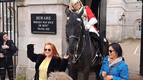 Let go of the Rein #horseguardsparade