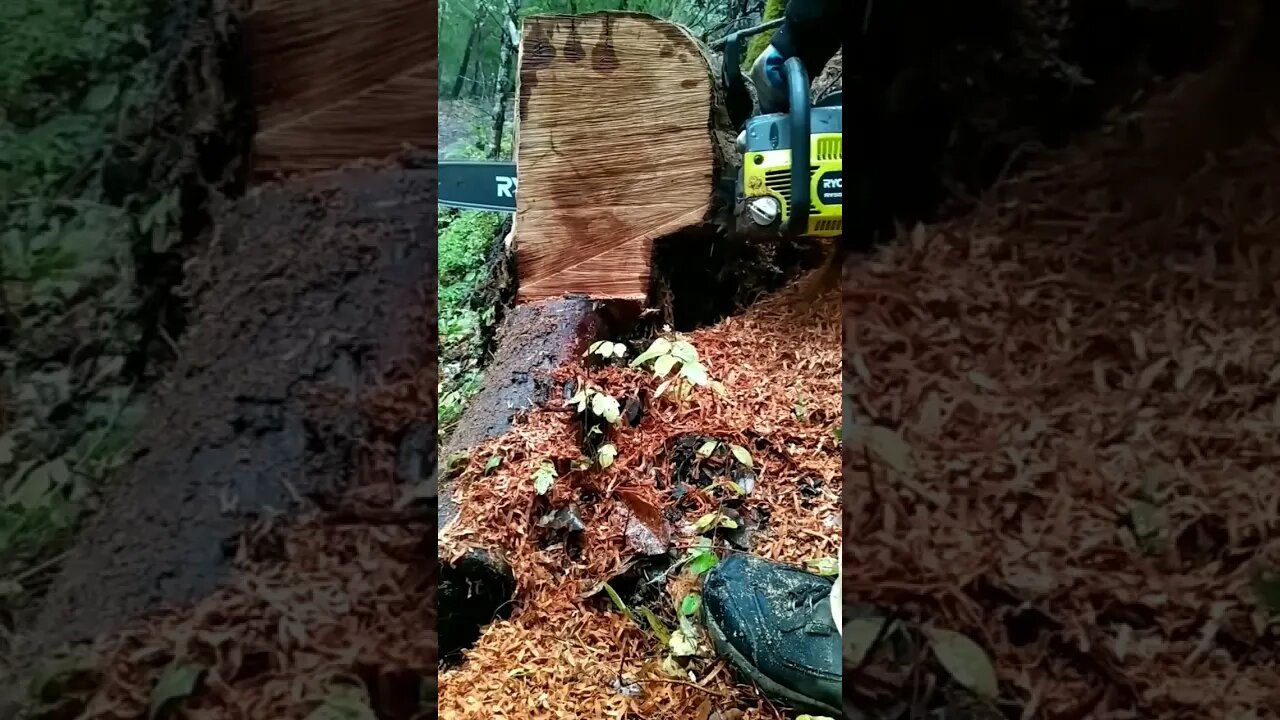 Ryobi 5020 50cc chainsaw