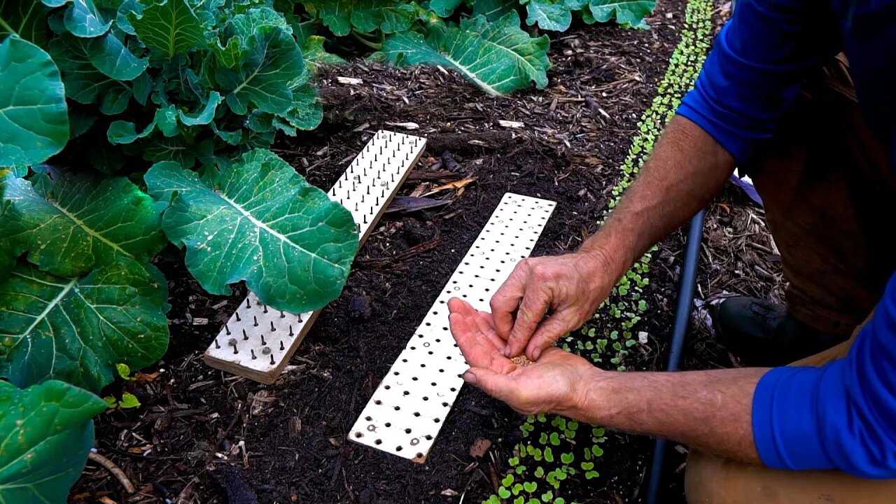 “High-Tech” Precision Seed Planter W/ Jim Kovaleski!