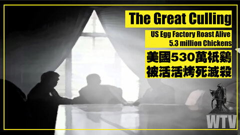 What You Need To Know About The Great Culling （中英文字幕）by SFM