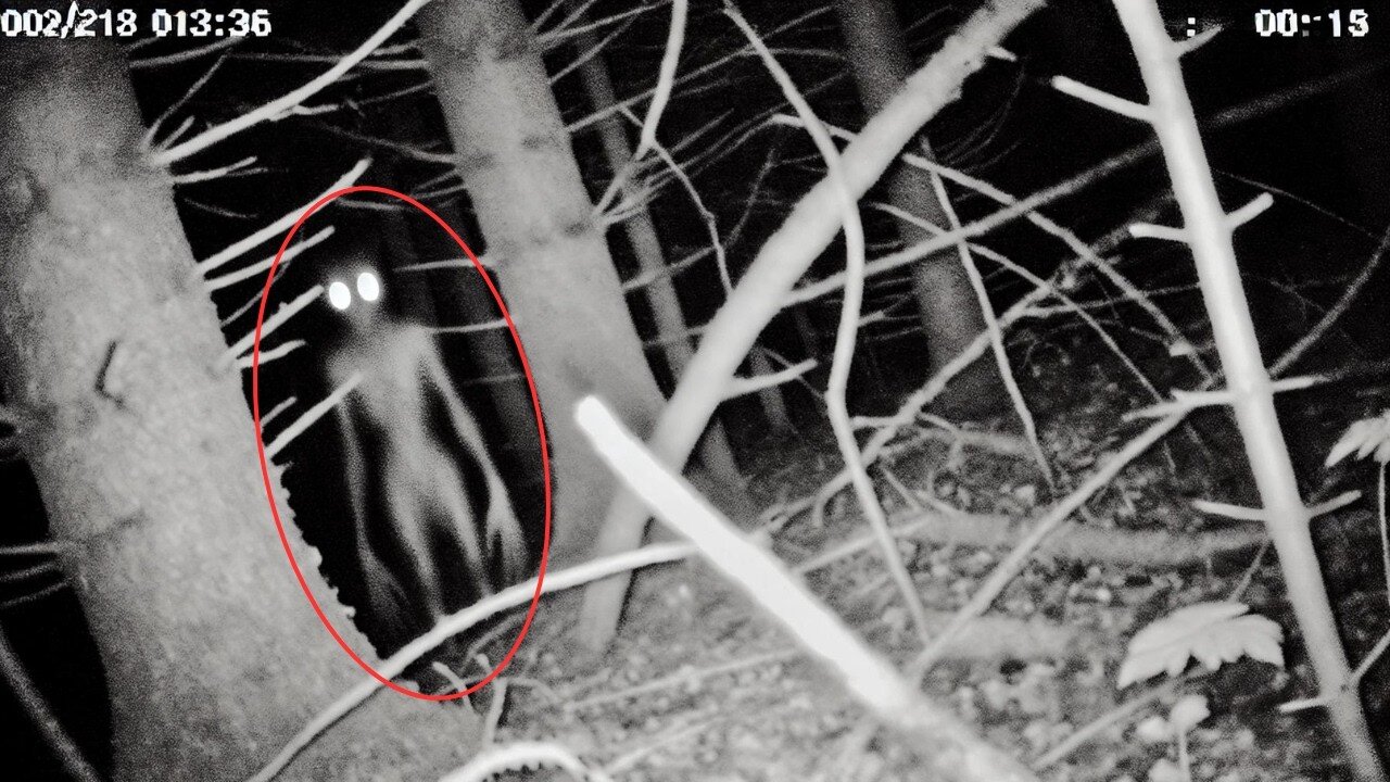 Most DISTURBING Camping Encounters Caught on Camera