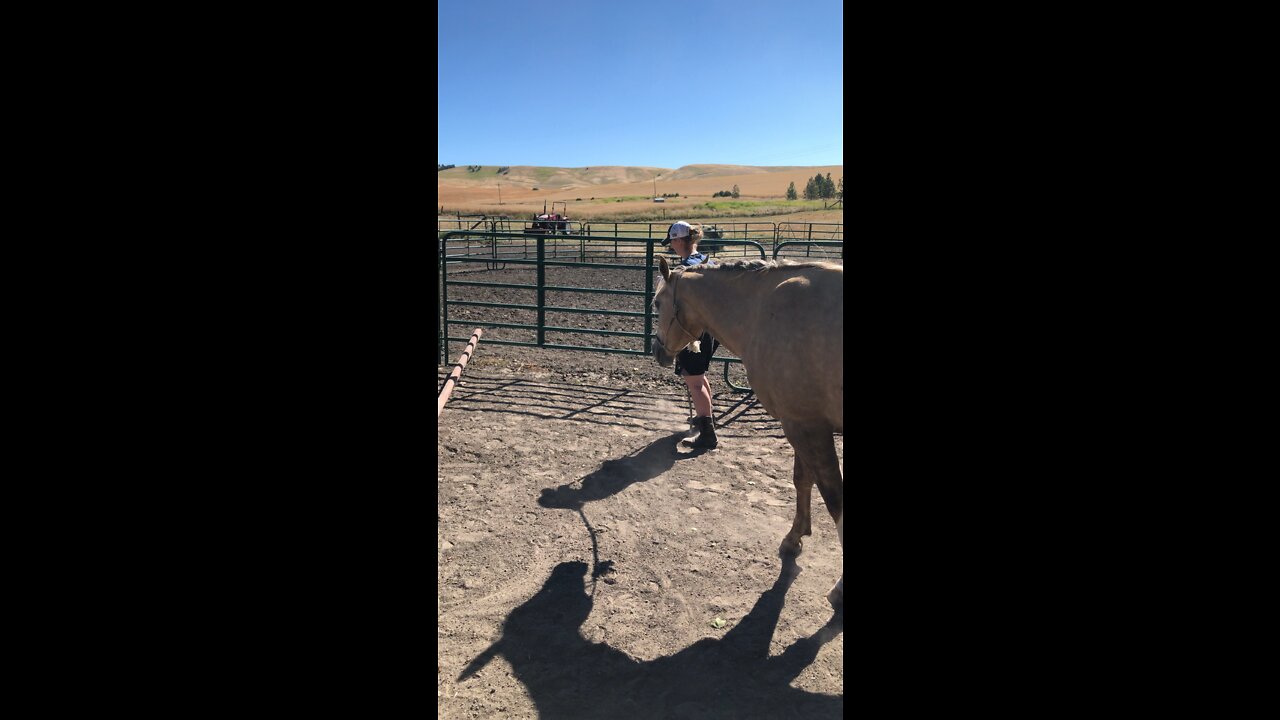 Rosie - poles 2