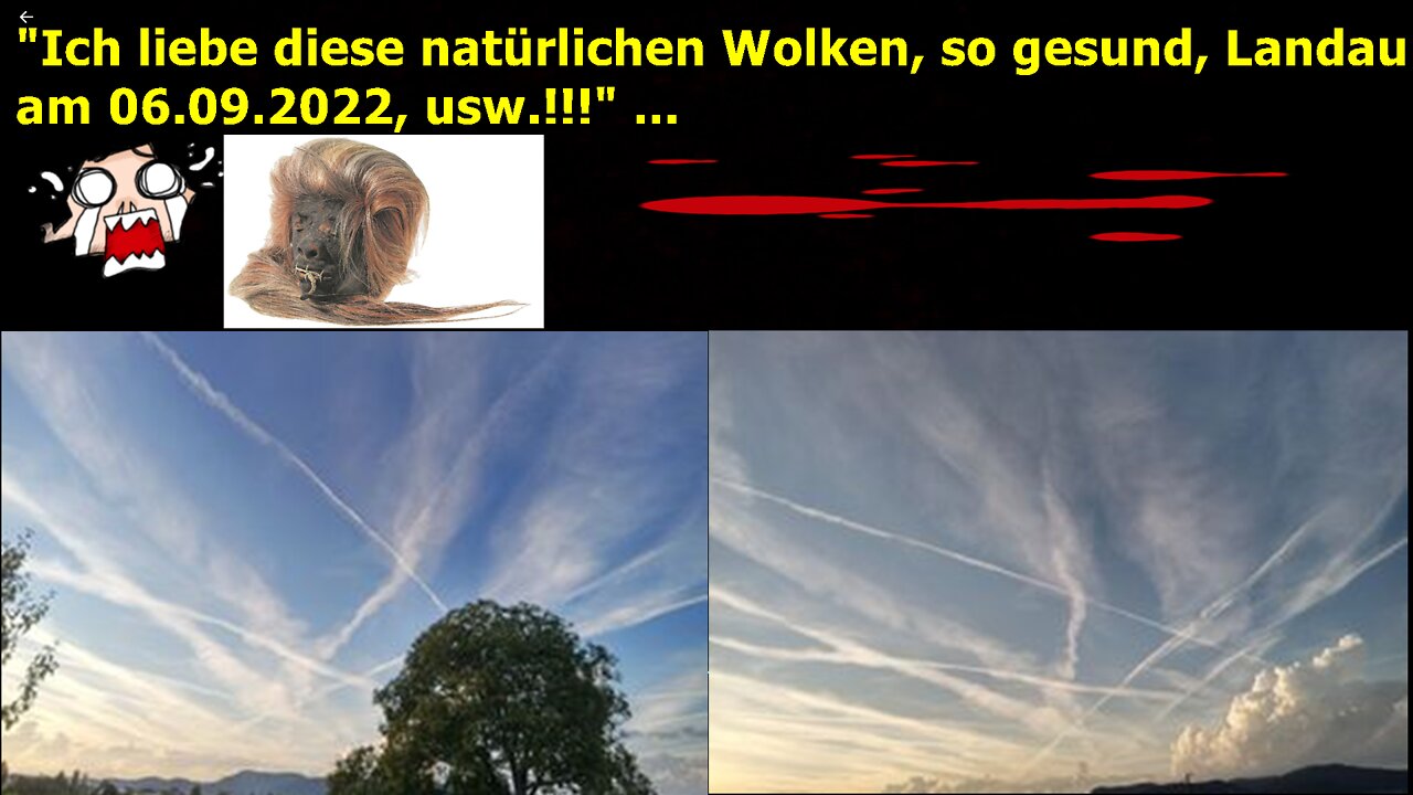 "Ich liebe diese natürlichen Wolken, so gesund, Landau am 06.09.2022, usw.!!!" ...