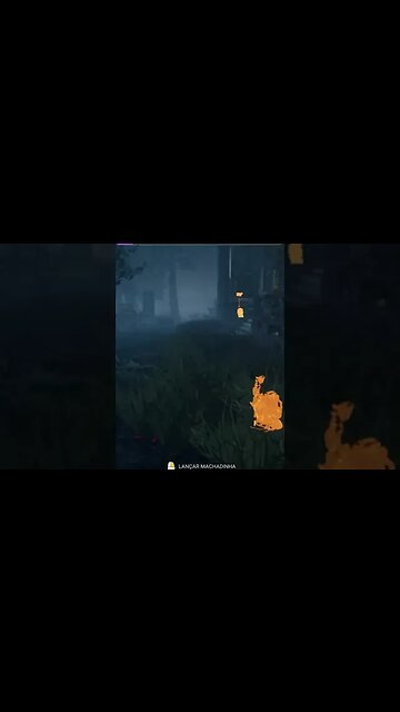 Achou que não fosse ver