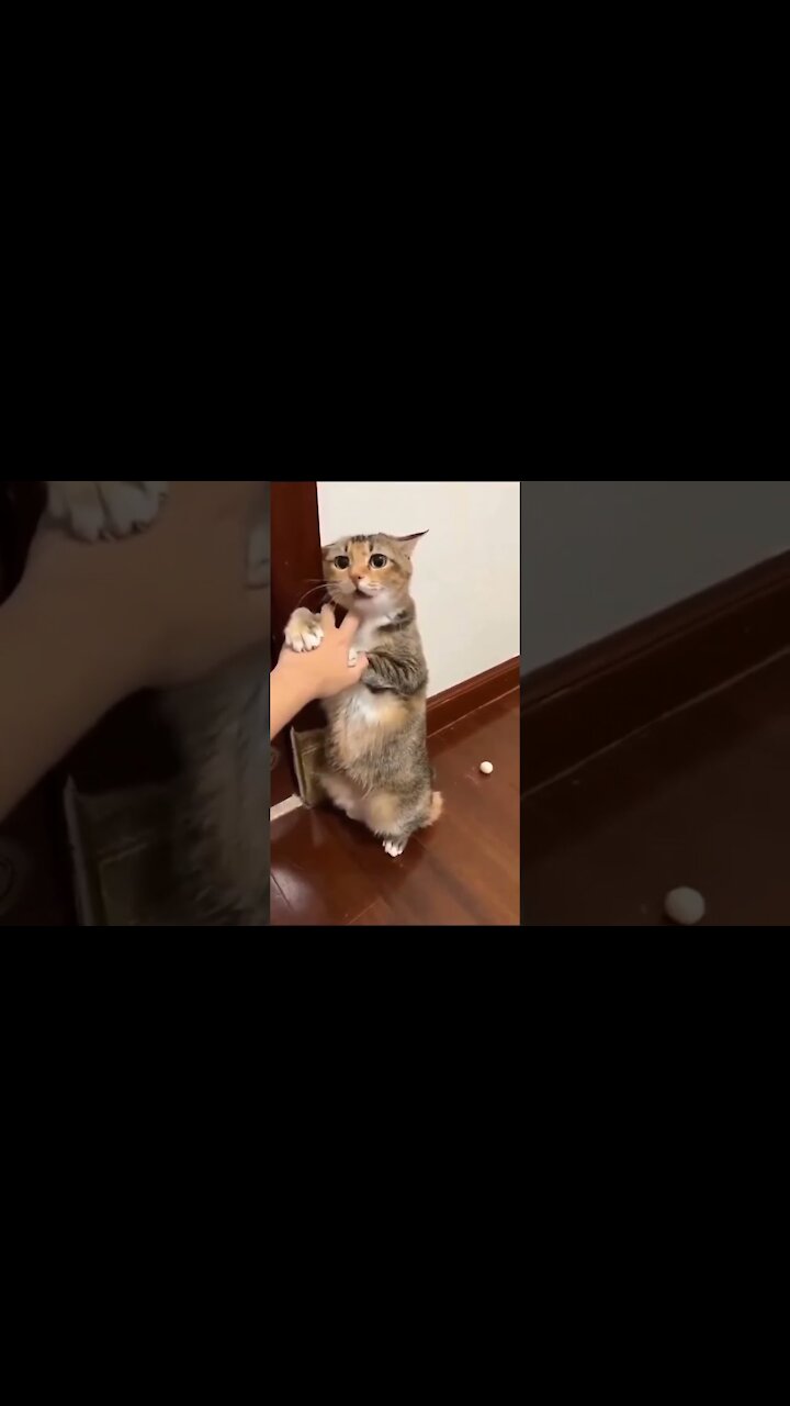 please don't do that 🥺