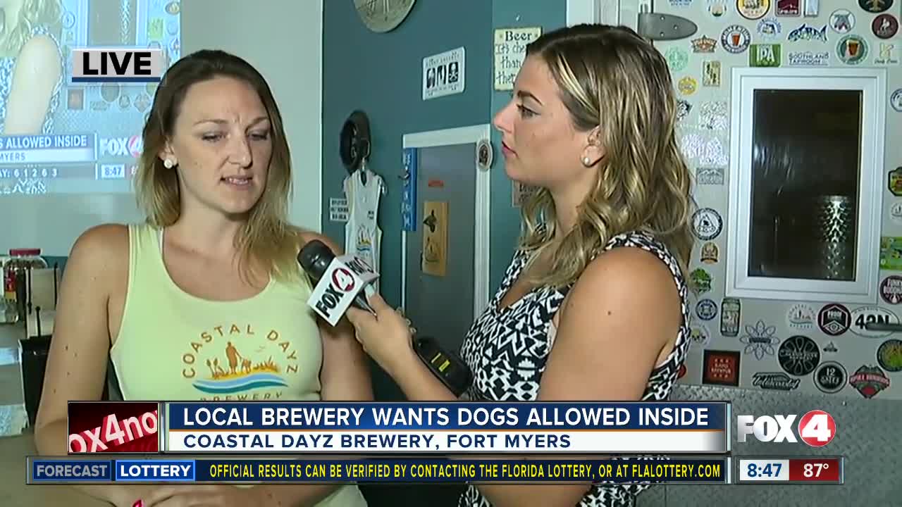 Florida health officials to ban dogs from being inside breweries