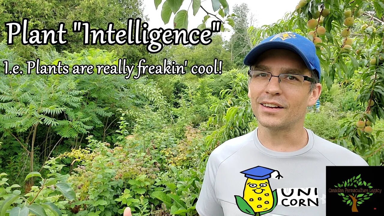 Plants are freakin cool - plant "intelligence"